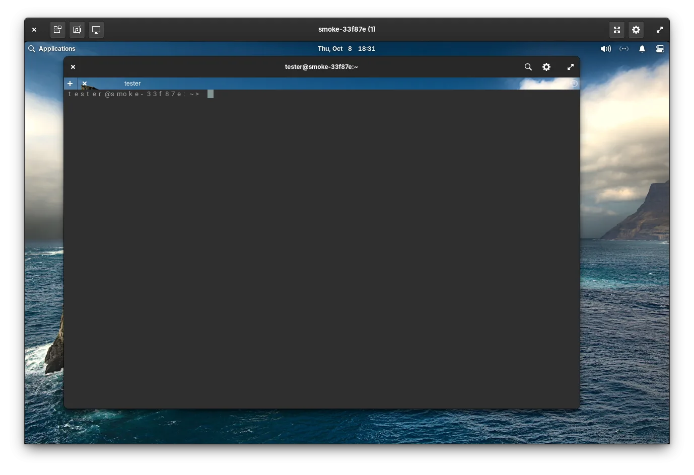 janky terminal